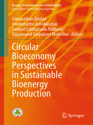 cover image of Circular Bioeconomy Perspectives in Sustainable Bioenergy Production